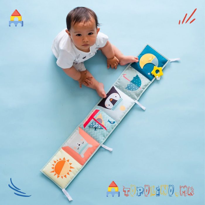 Едукативна Игра Северен Пол - Taf Toys - Image 3