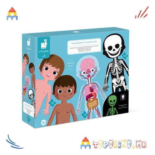 Сложувалка Човековото Тело - Janod