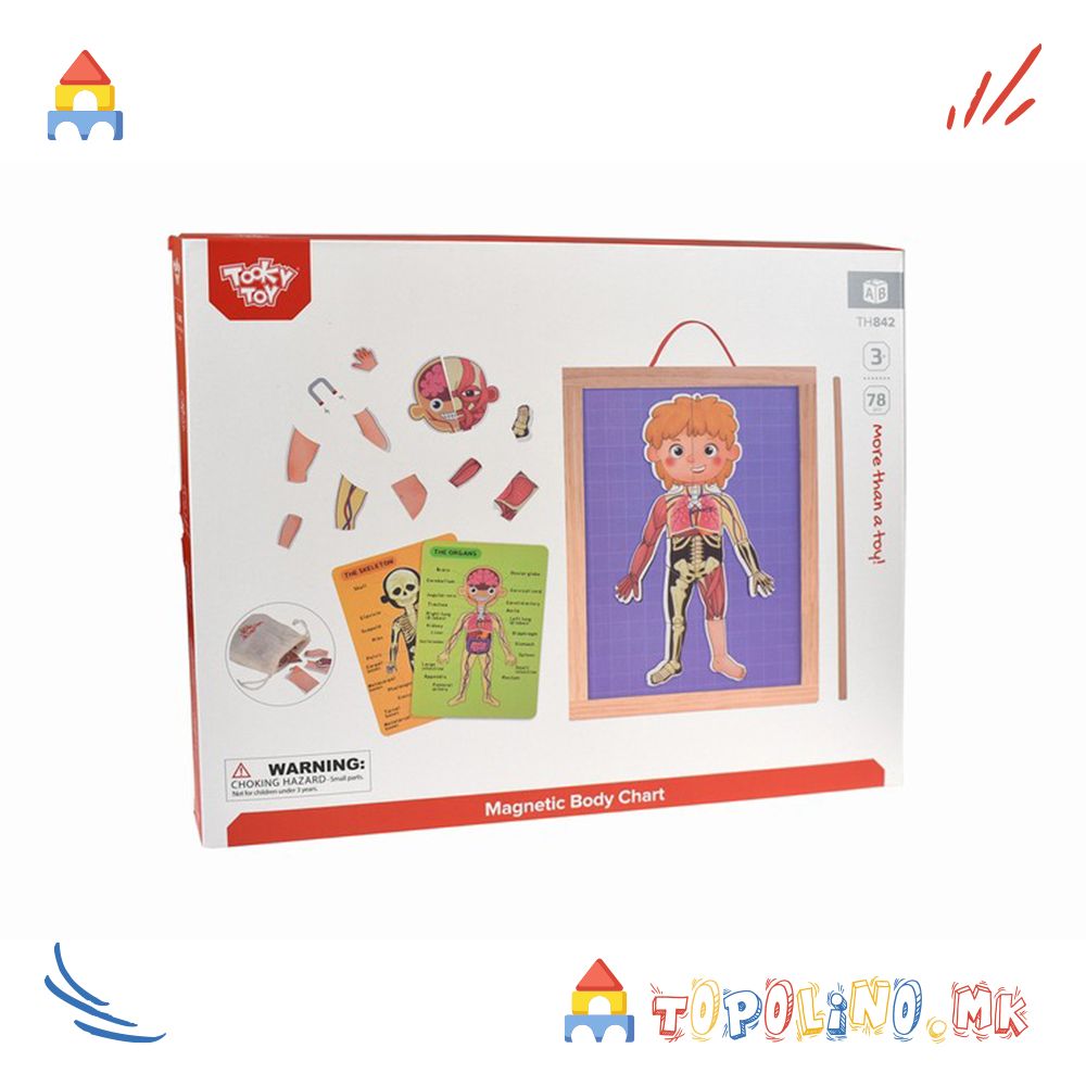 Дрвена Играчка Магнетна Табла со Човечкото Тело - Tooky Toy - Image 3